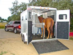 horse trailer cleaning